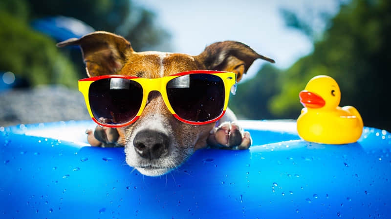 �����ձ������߼����һ��һ����һ��һ׷˼����˼��