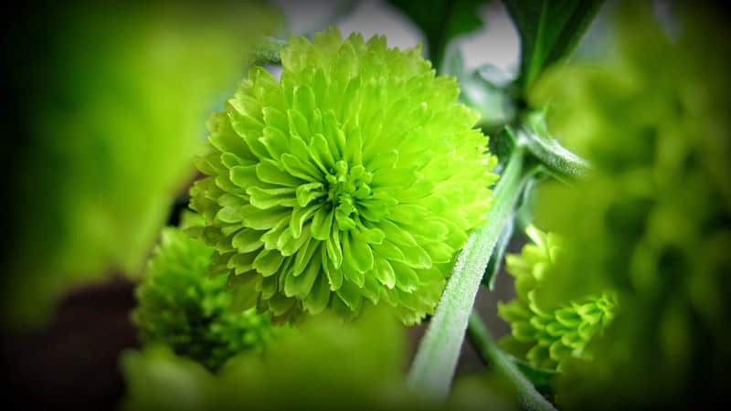 "/.����Ȧ������̫�ио���"