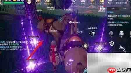 ŵ��֮�Ŀ�����������_���ۿ�