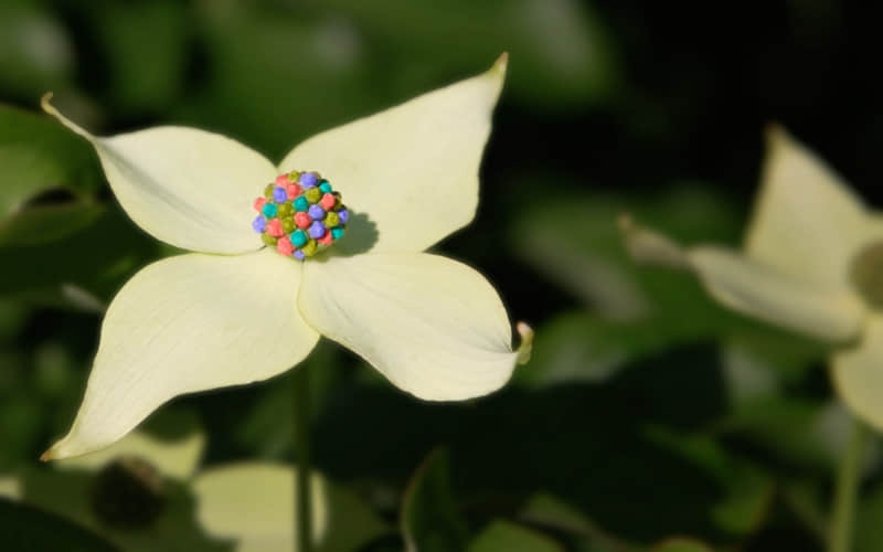 ���Ӻܶ̾�����