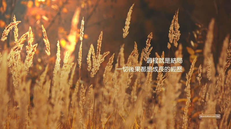 �������뷢һ����һ��������Ȧ