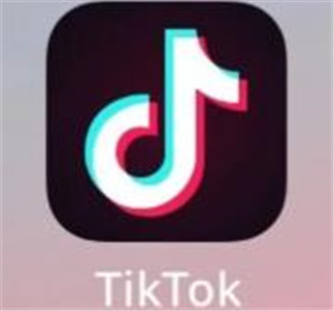 TikTokֱ�������������