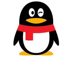 qq��Ѳ�����