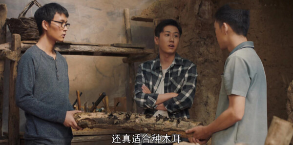 ɽ�ӽ����24���������