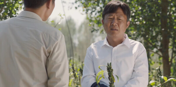 ɽ�ӽ����31���������