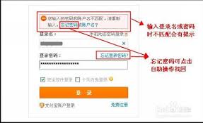 �Ա��˺Ű�ȫ��ʾ�޷������ô��-�Ա��˺Ű�ȫ��ʾ�޷������ν��