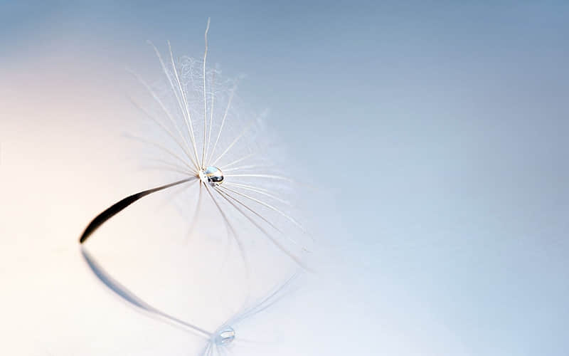 ͵һ��ȥ�������������