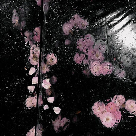 ���˸�Ц����Ů��Ӣ����(��ѡ100��)