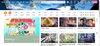 ��������bilibili��ҳ���������