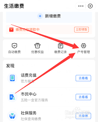 ֧������ô�����Ҫ�Ľɷ���Ŀ