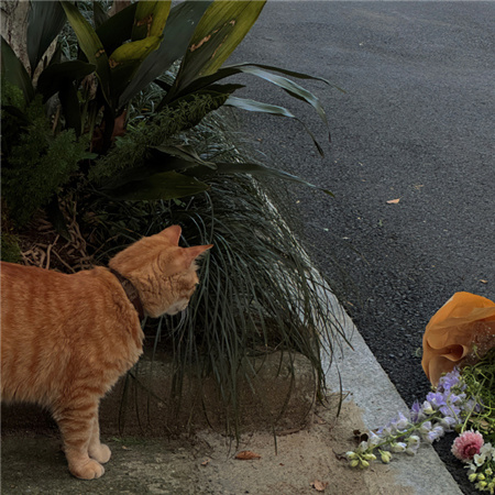 �������������˸�Ů��(��ѡ100��)