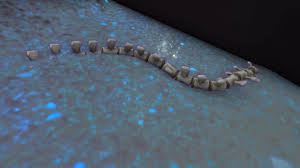 ħ����������β��λ������