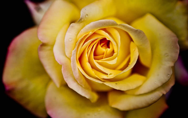 ���Ӷ���Խ��Խͨ͸