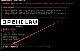 �����openclaw������Ŀ