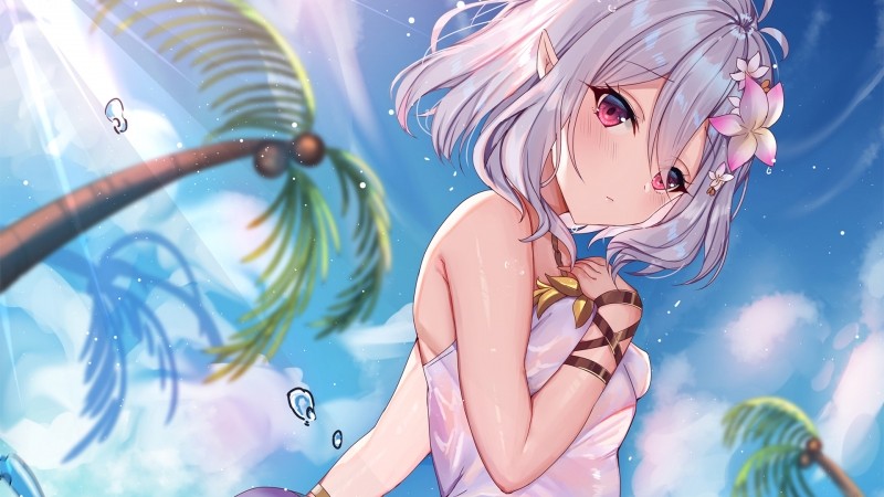 ������������Ķ����