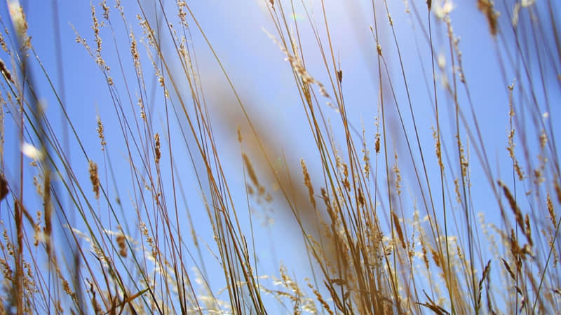 "����Ȧ |   ����������İ�"