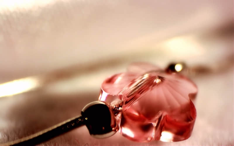 ���ʳ����˵�����Ȧ̫�ио���