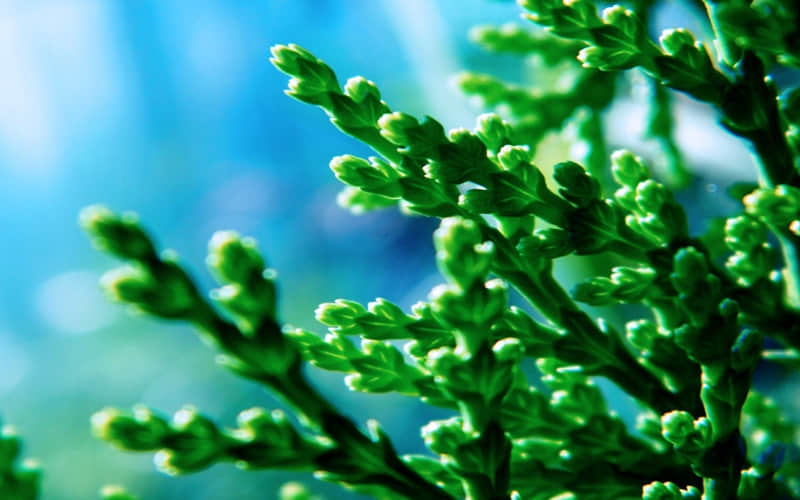 ÿ��һ��ů�Ļ���˵���Ҷ���������ں�