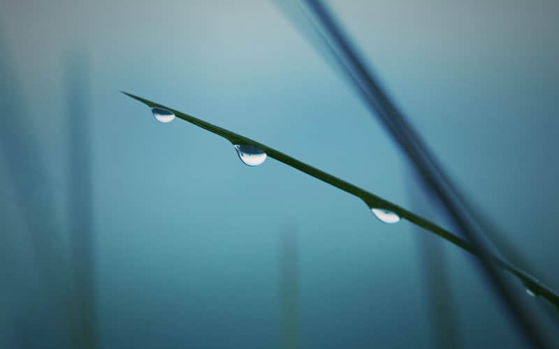 ƣ���������ô��Ȧ