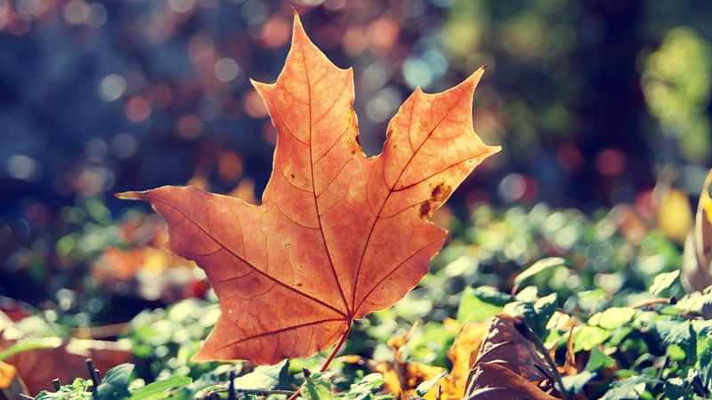 ��λ������������еĲ���~