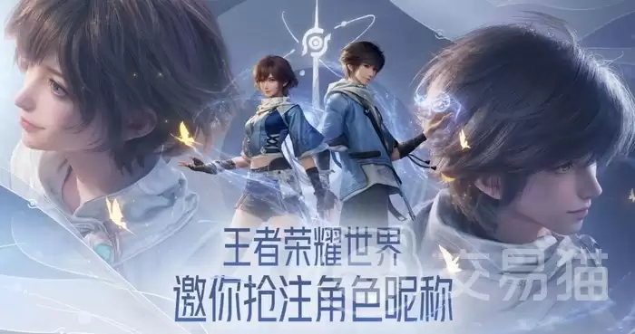 ������ҫ����Ԥע�����������ҫ����ID��ע����ָ��