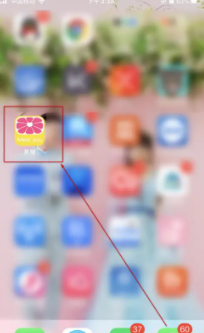 ����������ô��̥�� ������̥������