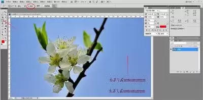 PS��ôʹ�÷���ͼ�¹���-Photoshop������ʹ�ý̳�