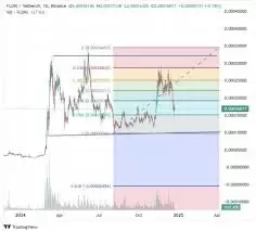 FLOKI���������Ԥ��