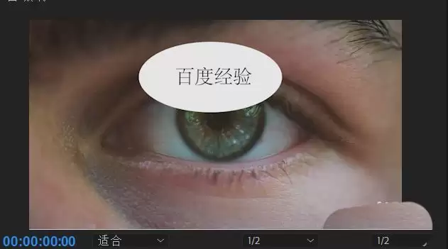 premiere��ô���������