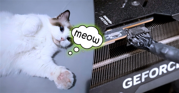 һֻè��ʱ����RTX 4090�Կ��ջ�ð�̣���������һ����