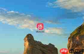 ���������ֵ���������ò�������ʽ