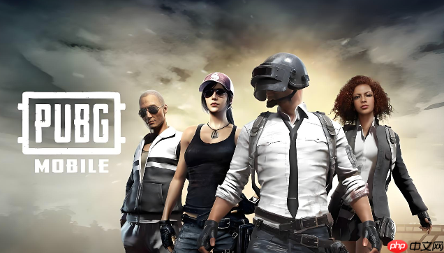 pubg�������2026����