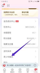 ����fm��ô����������ģʽ