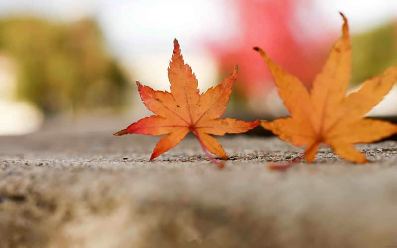 ͵һ��ȥЦ���������Ȧ