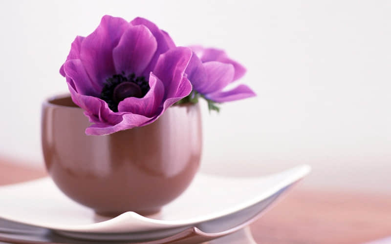 ��ô��Ȧ��ķÿͻᱩ��