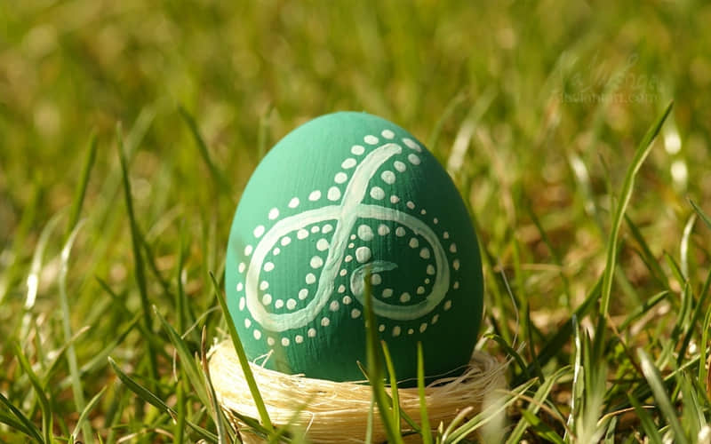 ����ܻ�ĺ����İ�