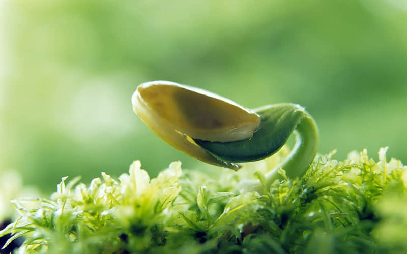 �ҳ�������Ĭһ����ô˵