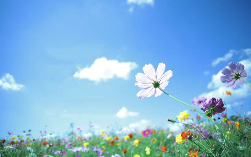 ����֮�䲻��ϵ����������ֱ�����