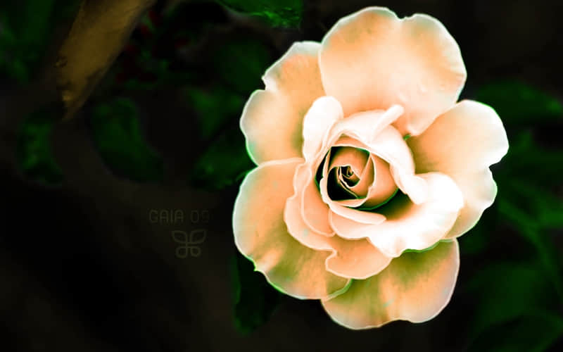 /.��������ʺ���ĩ���Ϸ���û�����������