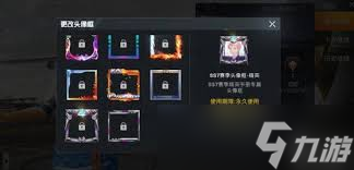 ��ƽ��Ӣ����ӡ����ʲôЧ��