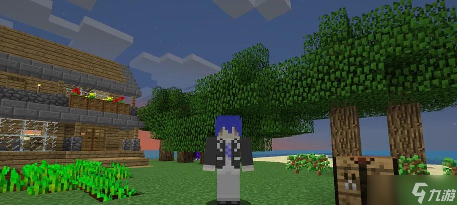 �ҵ����纣��Ļ�ȡ;����ʲô