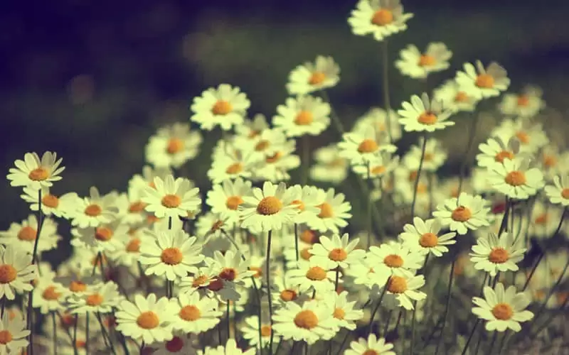 һ��Ů������Ȧ��ô��˵�����ܴ���