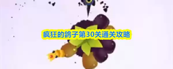 ���ĸ��ӵ�30��ͨ�ع���