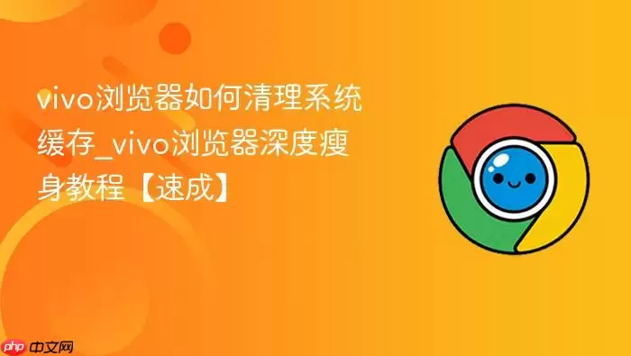 vivo������������ϵͳ����