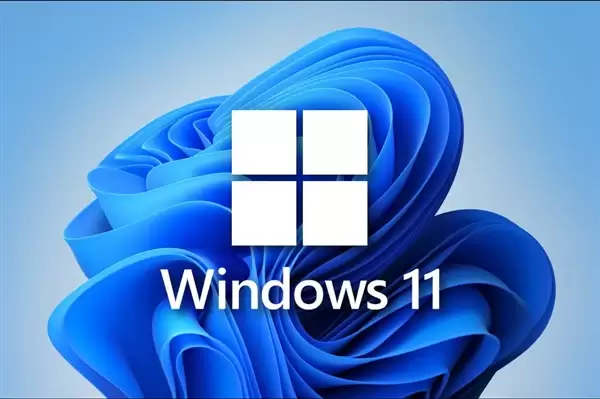 ΢��ί����������ʲô����˦��Windows���£��������Լ�����ɶ