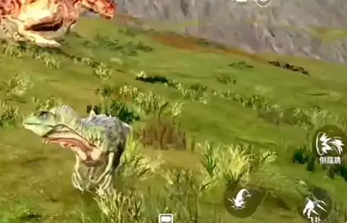 ����������Դ��ô������