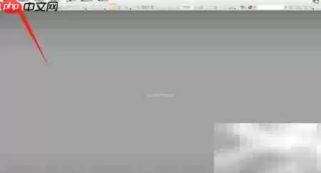 PDF