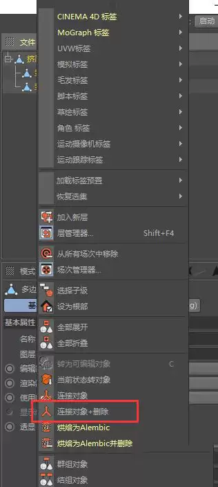 MaxonCinema 4D����������˵Ľ������