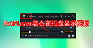 PotPlayer�����ʾ����ͼ��-PotPlayer����������ͼ����ʾ����