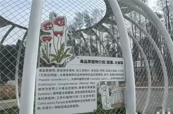 �人ֲ��԰����ڻ� ԰�������ڿ��� ����������